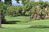 Scenic view of South Suburban Par 3 golf course with lush green fairways, trees, and a flag on the putting green.